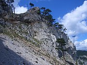 CIMG6531.JPG