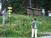 CIMG6549.JPG