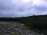 CIMG6559.JPG