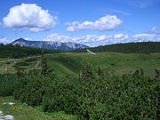 CIMG6570.JPG