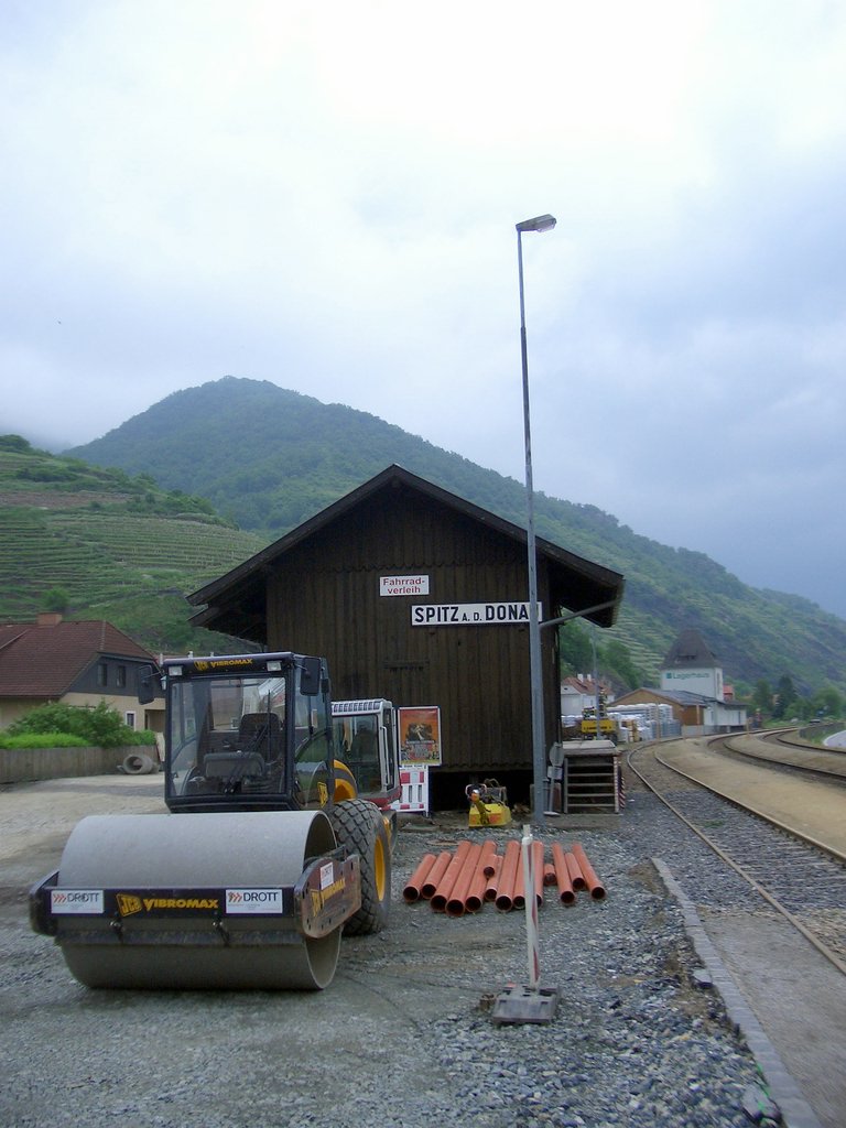 CIMG4966.JPG