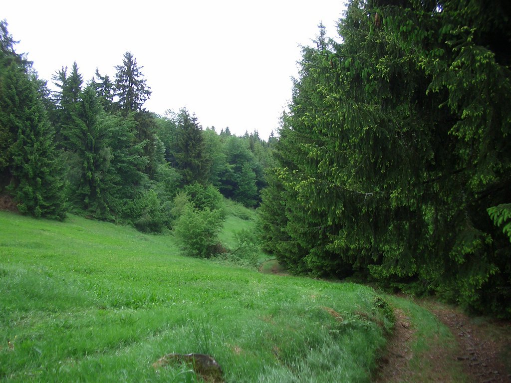 CIMG4986.JPG