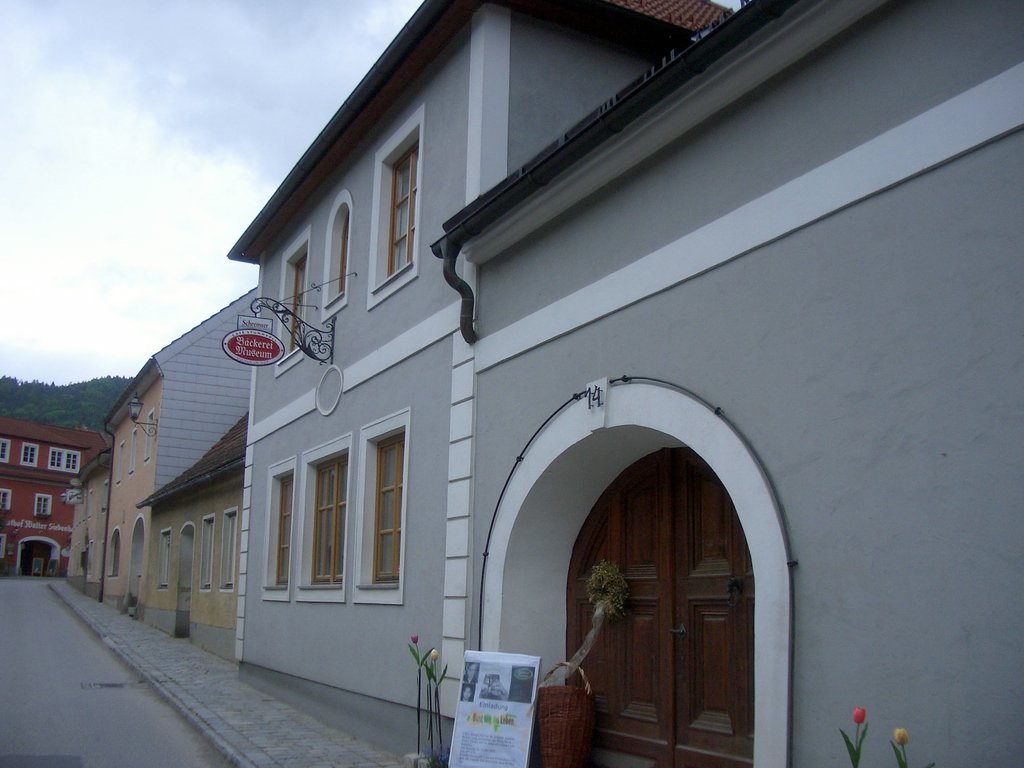 CIMG5003.JPG