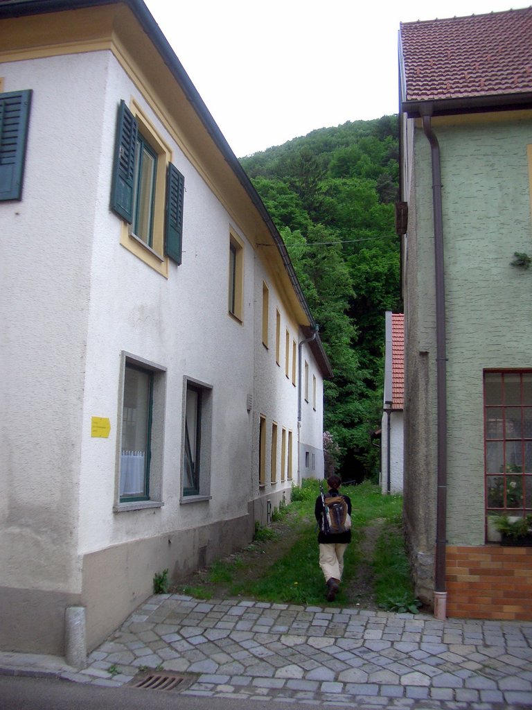 CIMG5004.JPG