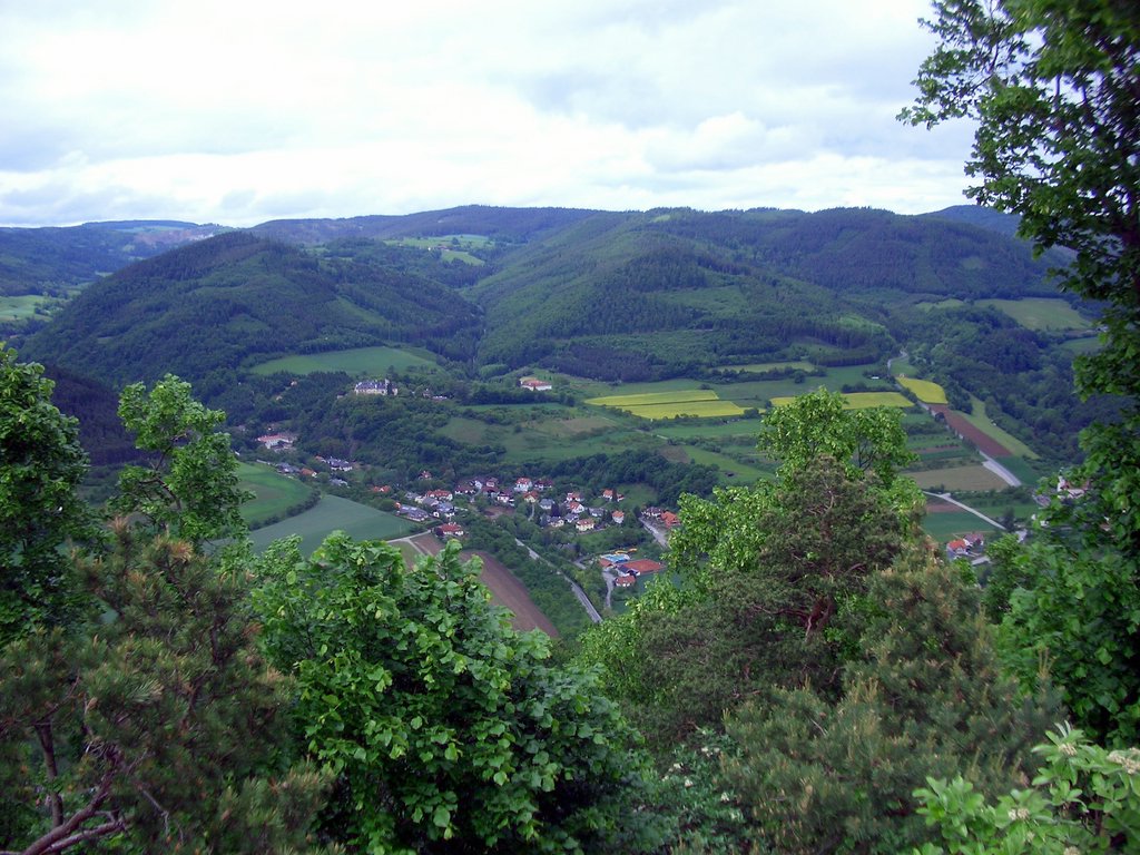 CIMG5013.JPG