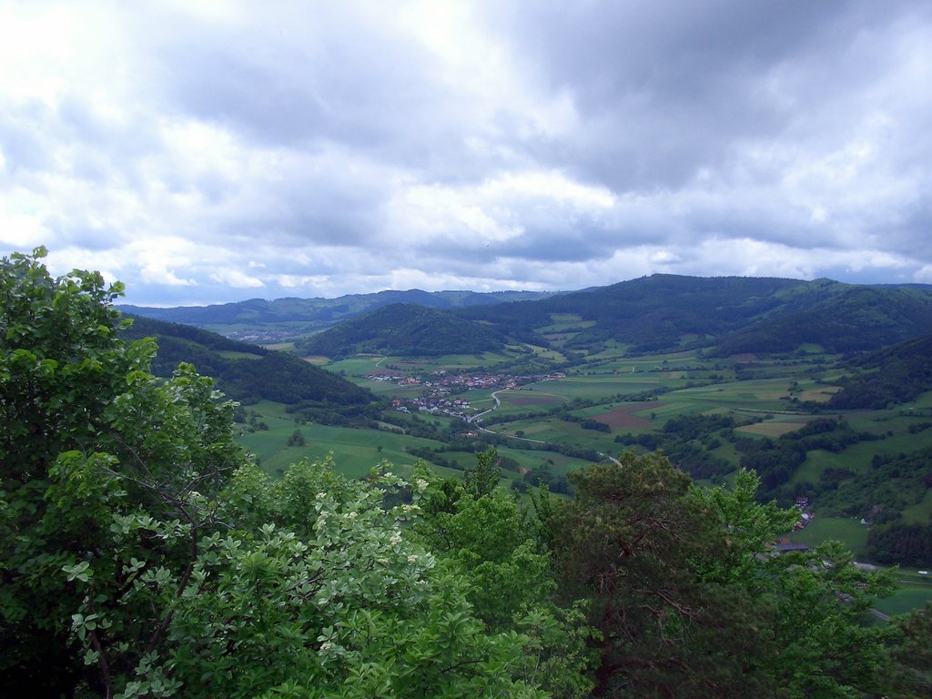 CIMG5014.JPG