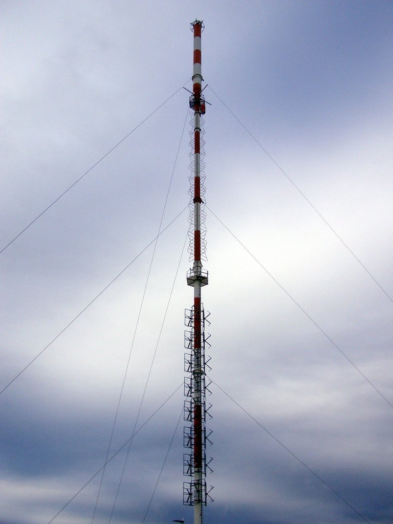 CIMG5046.JPG
