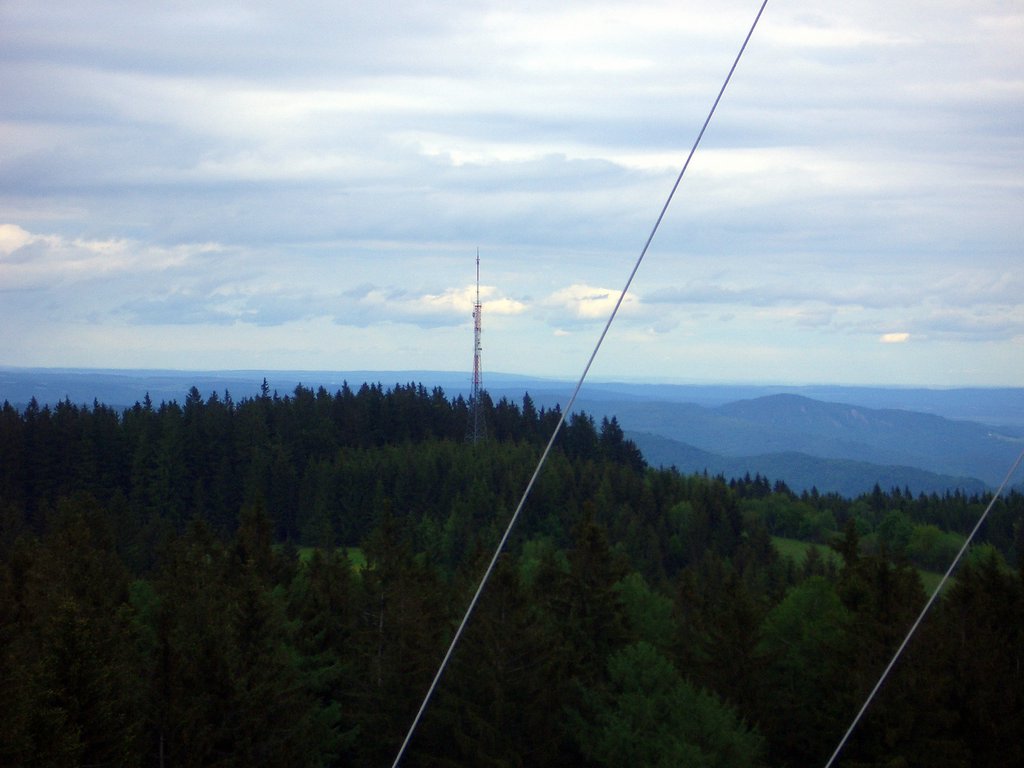 CIMG5050.JPG