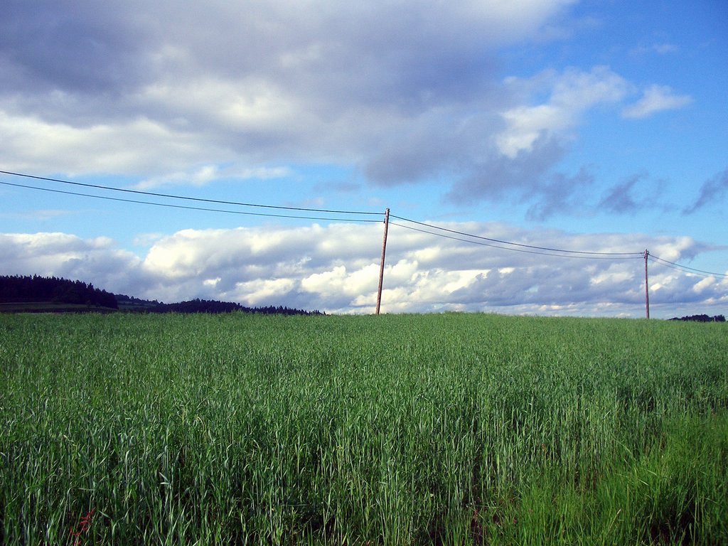CIMG5058.JPG
