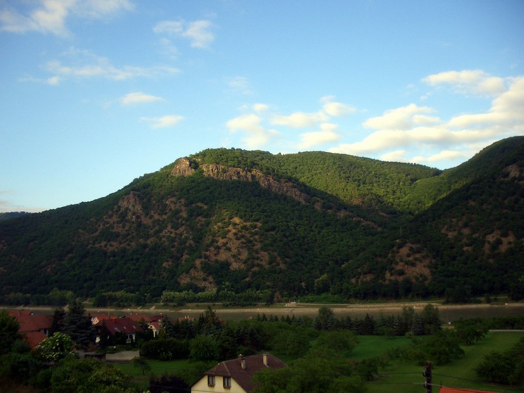 CIMG5062.JPG
