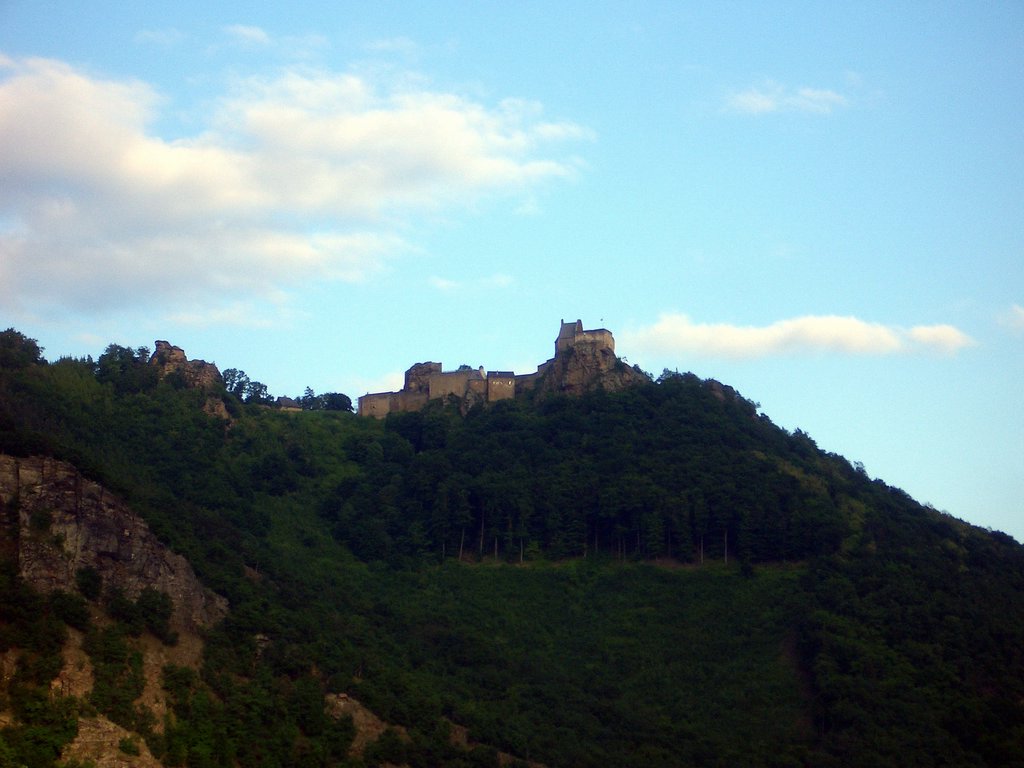 CIMG5063.JPG