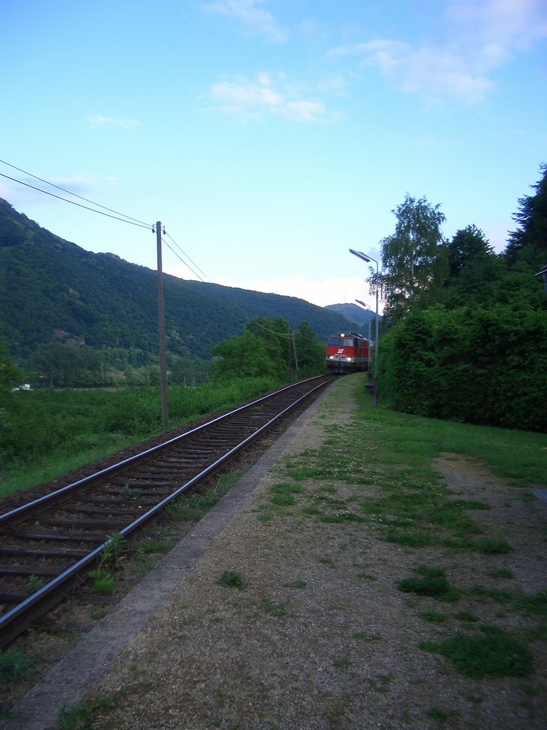 CIMG5067.JPG