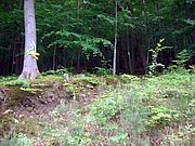 CIMG5008.JPG
