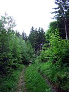 CIMG5025.JPG