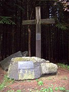 CIMG5034.JPG