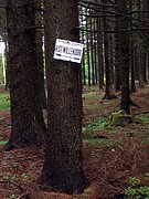 CIMG5054.JPG