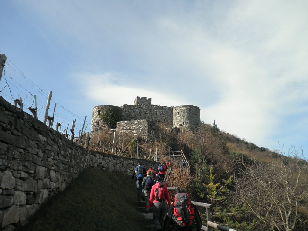 P4030054.JPG