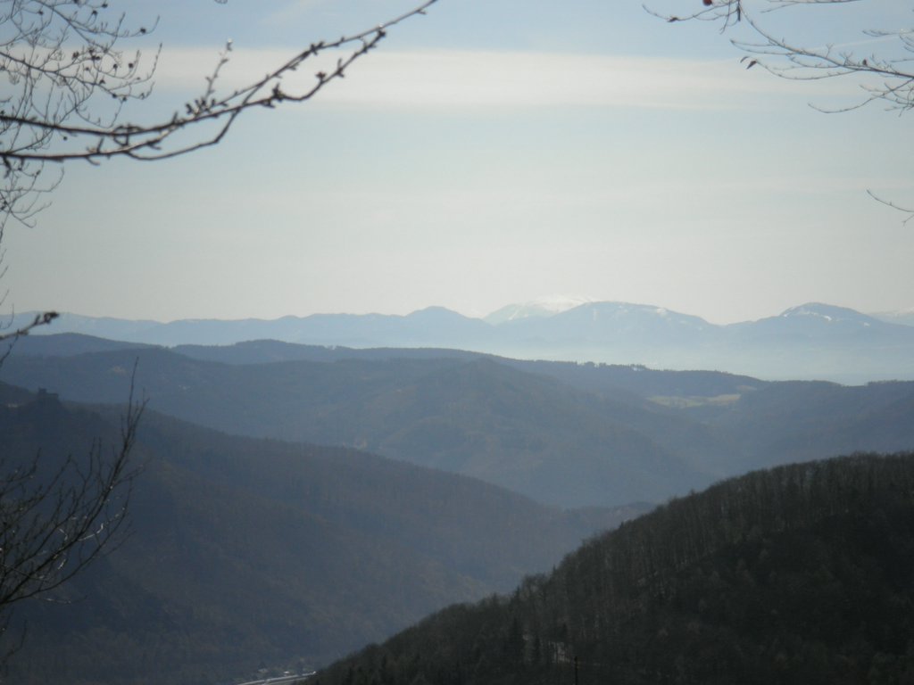 P4030073.JPG