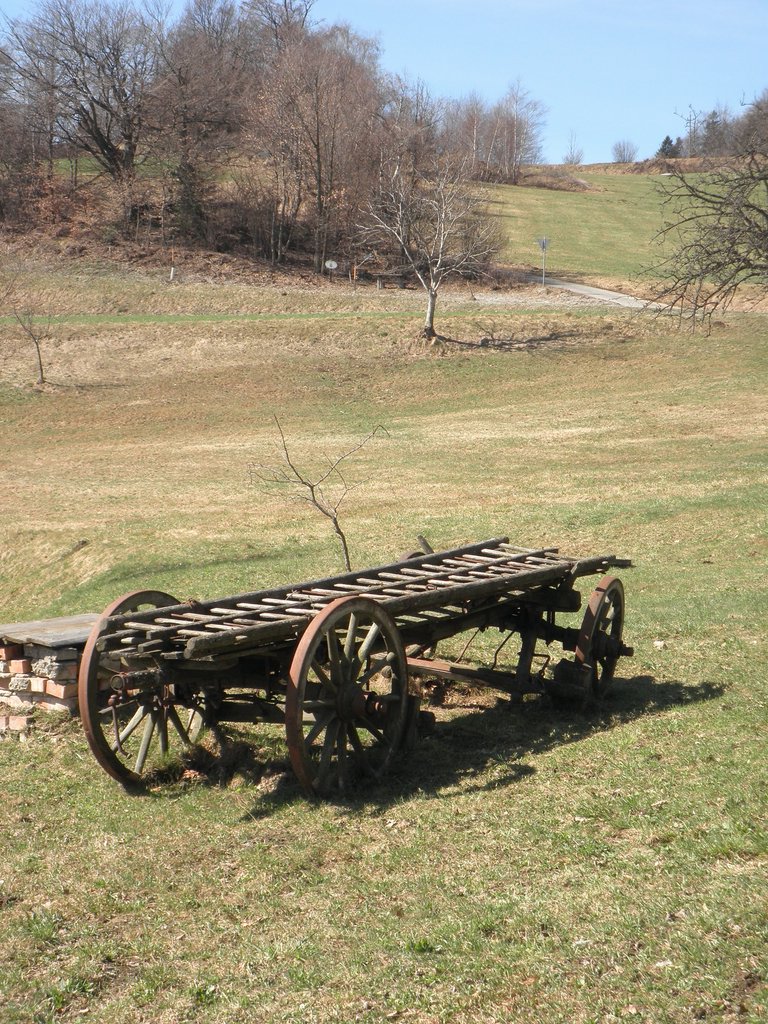 P4030080.JPG