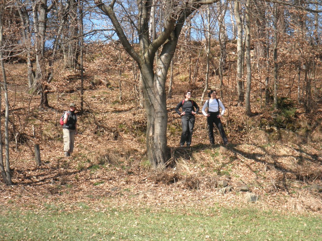 P4030084.JPG