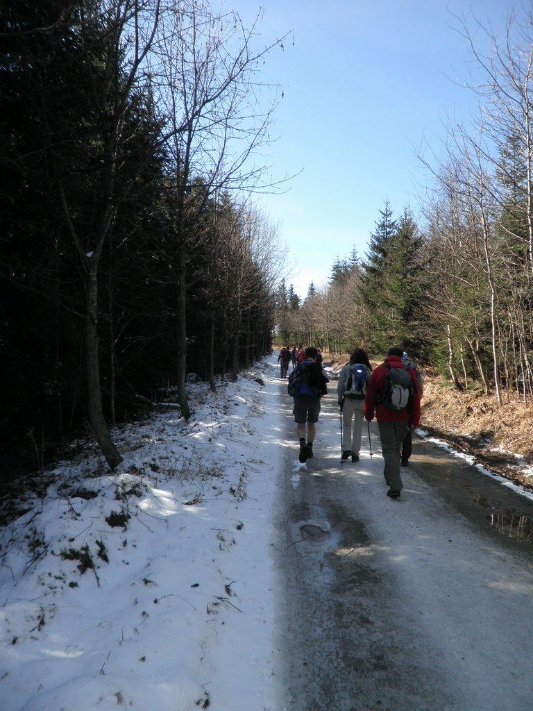 P4030095.JPG