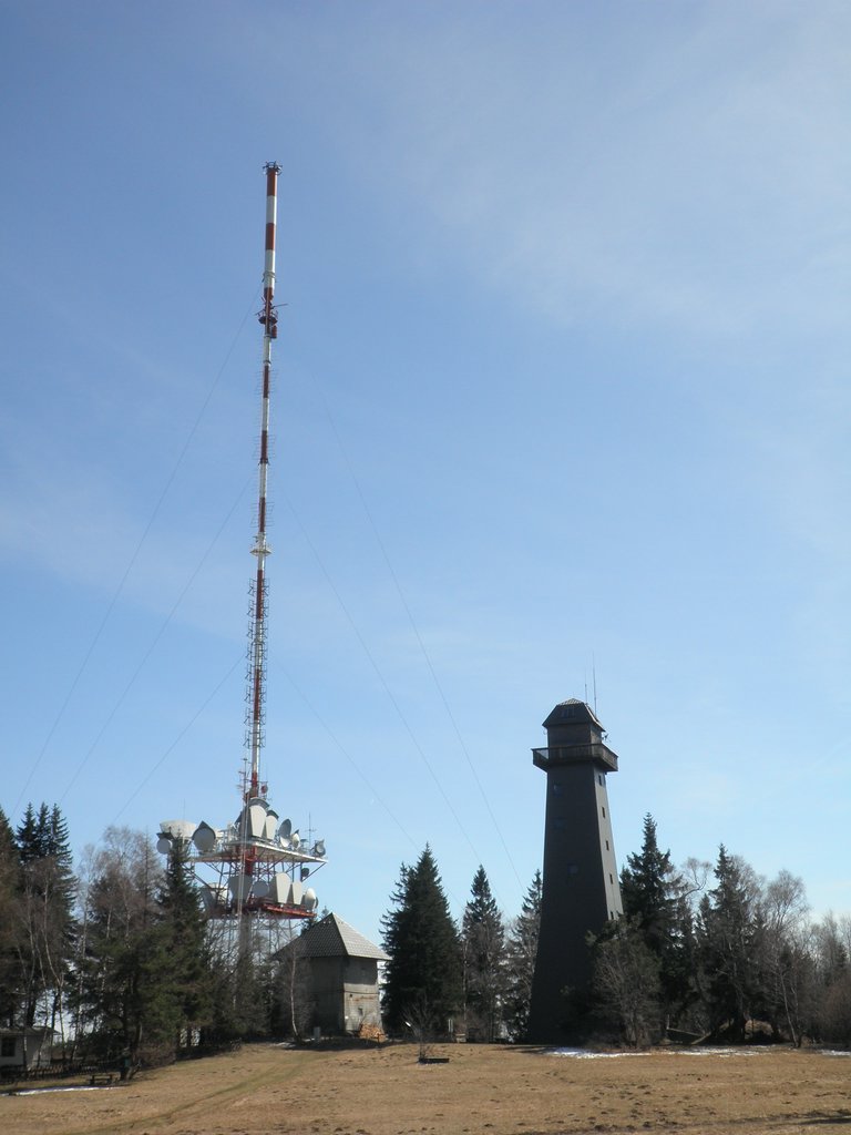 P4030096.JPG