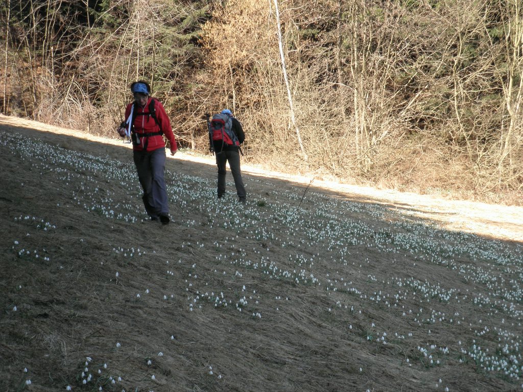 P4030133.JPG