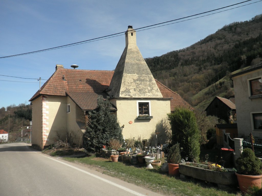 P4030146.JPG