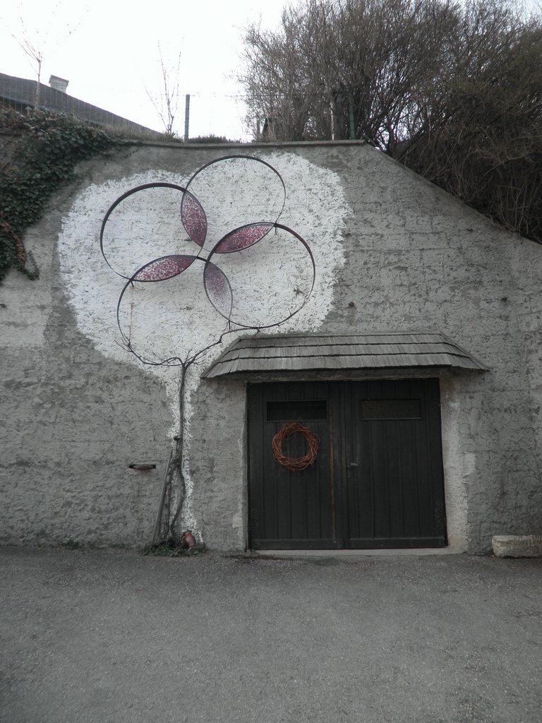 P4030165.JPG