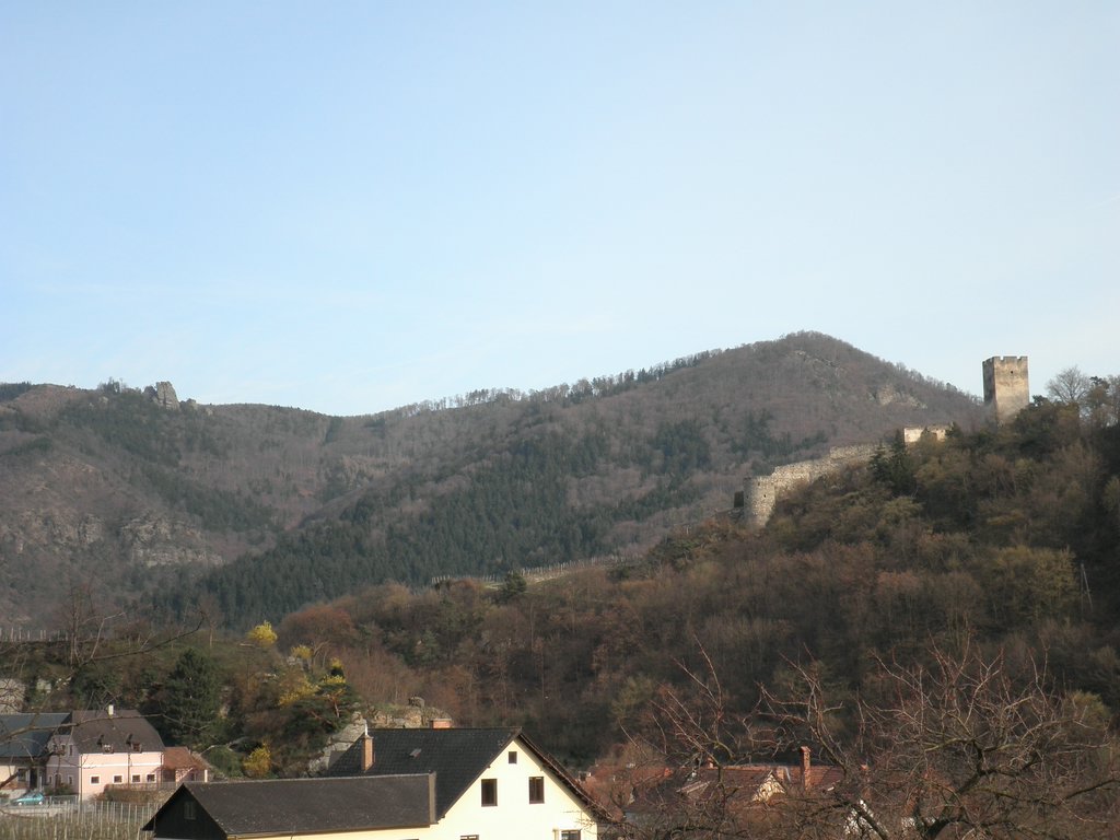 P4030170.JPG