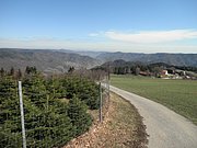 P4030082.JPG