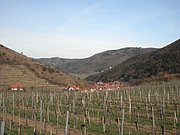 P4030167.JPG
