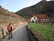 P4030168.JPG
