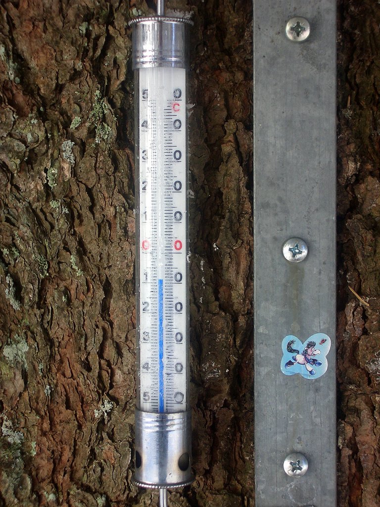 CIMG3476.JPG