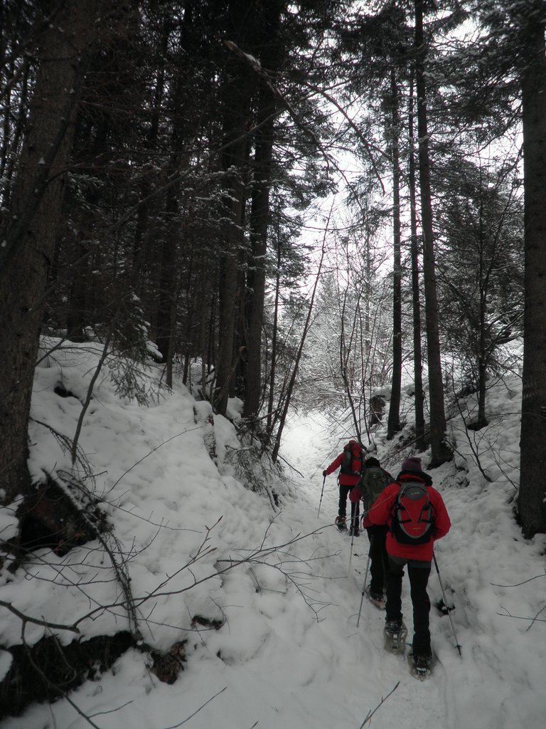 PC280027.JPG