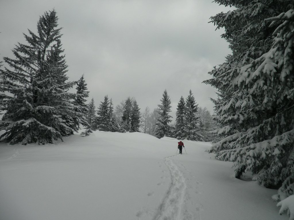 PC280044.JPG