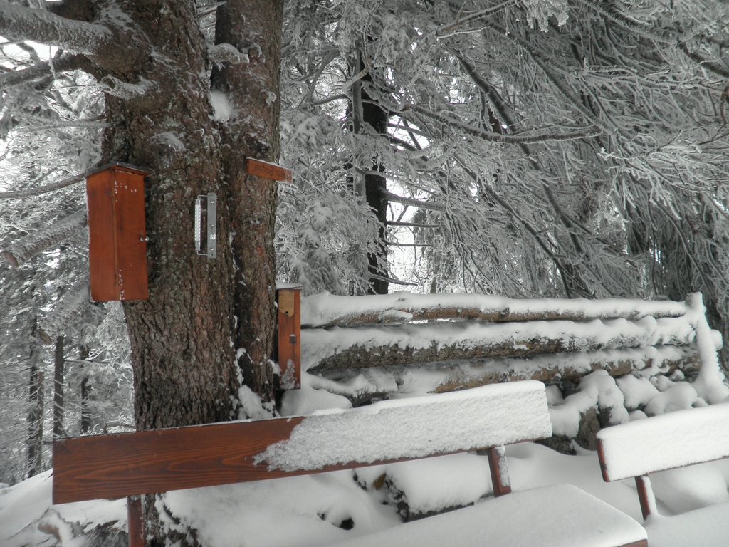 PC280045.JPG