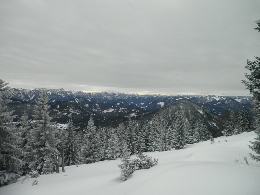 PC280050.JPG
