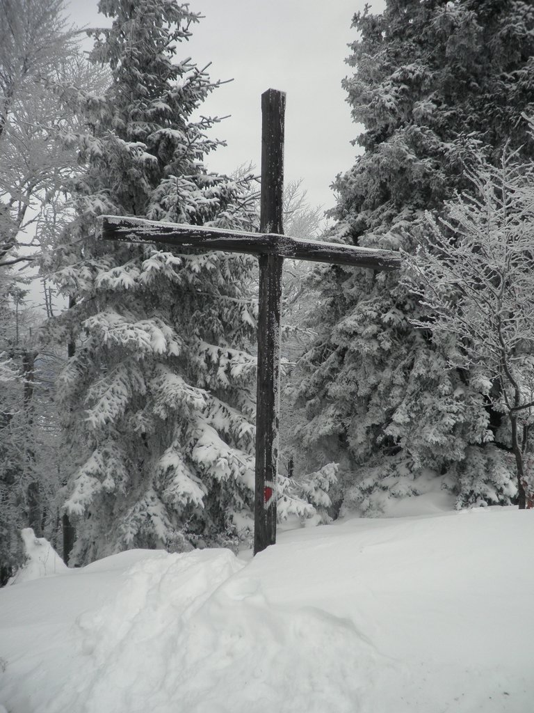 PC280056.JPG