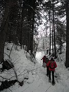 PC280027.JPG