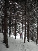 PC280043.JPG