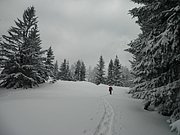 PC280044.JPG