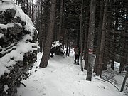 PC280061.JPG