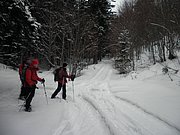 PC280063.JPG