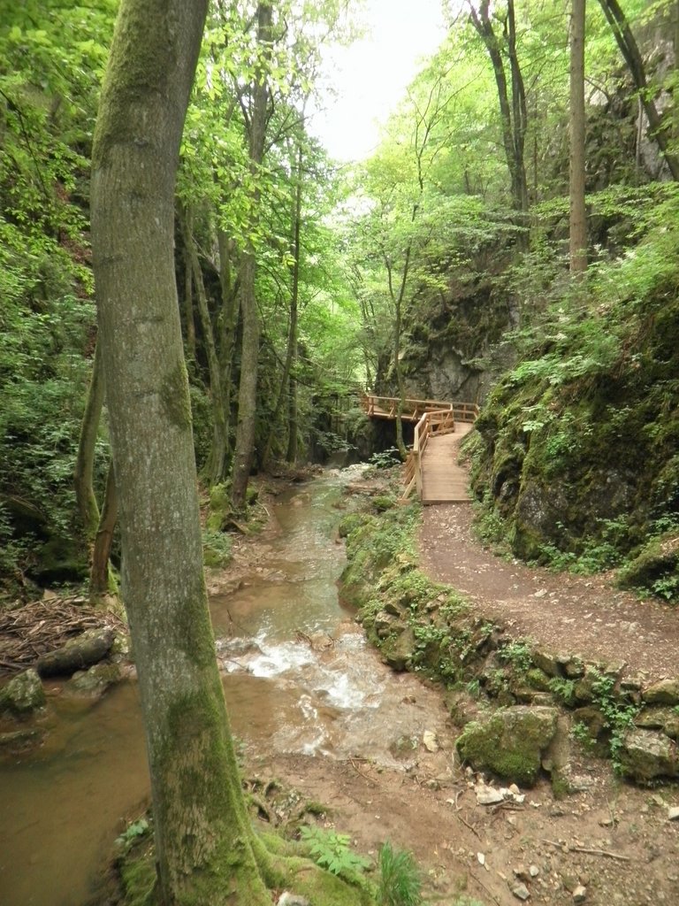 P6130106.JPG