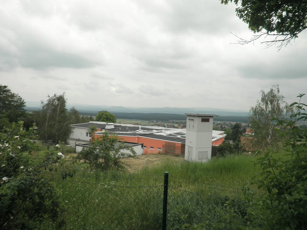 P6130150.JPG