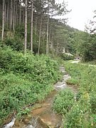 P6130095.JPG