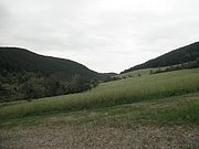 P6130117.JPG