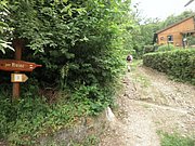P6130118.JPG