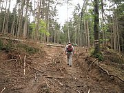 P6130120.JPG